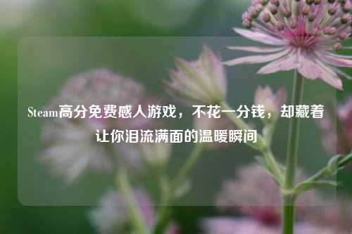 Steam高分免费感人游戏，不花一分钱，却藏着让你泪流满面的温暖瞬间