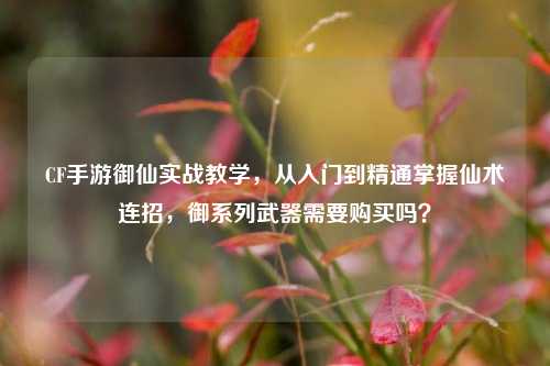 CF手游御仙实战教学，从入门到精通掌握仙术连招，御系列武器需要购买吗？