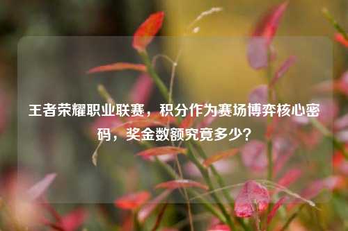 王者荣耀职业联赛，积分作为赛场博弈核心密码，奖金数额究竟多少？