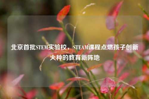 北京首批STEM实验校，STEAM课程点燃孩子创新火种的教育新阵地