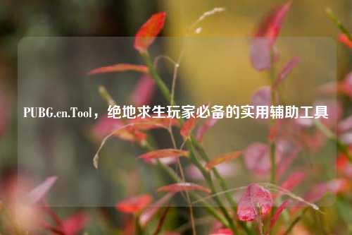 PUBG.cn.Tool，绝地求生玩家必备的实用辅助工具