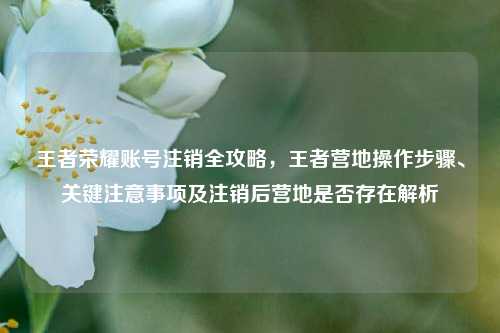 王者荣耀账号注销全攻略，王者营地操作步骤、关键注意事项及注销后营地是否存在解析
