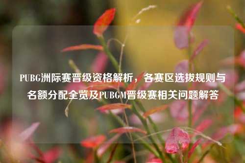 PUBG洲际赛晋级资格解析，各赛区选拔规则与名额分配全览及PUBGM晋级赛相关问题解答