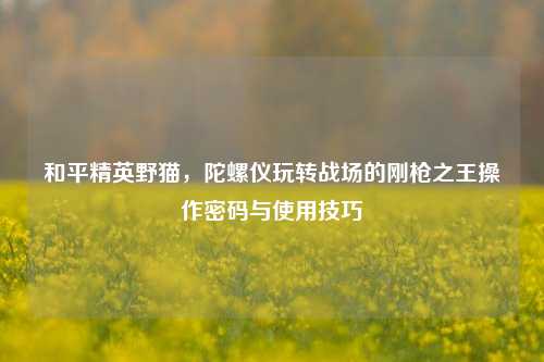 和平精英野猫，陀螺仪玩转战场的刚枪之王操作密码与使用技巧