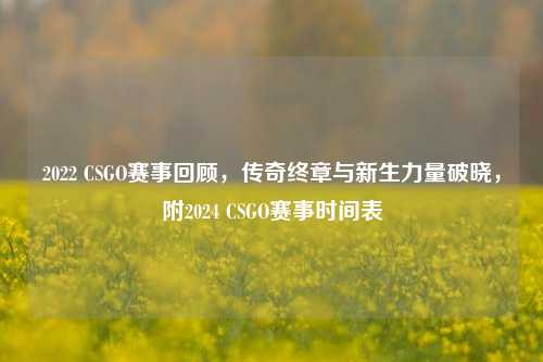 2022 CSGO赛事回顾，传奇终章与新生力量破晓，附2024 CSGO赛事时间表