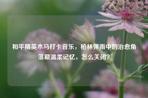 和平精英木马打卡音乐，枪林弹雨中的治愈角落藏温柔记忆，怎么关闭？