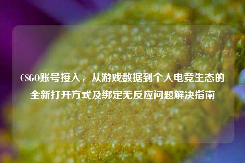 CSGO账号接入，从游戏数据到个人电竞生态的全新打开方式及绑定无反应问题解决指南
