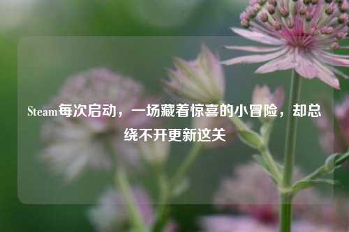 Steam每次启动，一场藏着惊喜的小冒险，却总绕不开更新这关