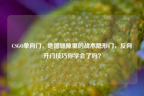 CSGO单向门,地图缝隙里的战术隐形门,反向开门技巧你学会了吗?