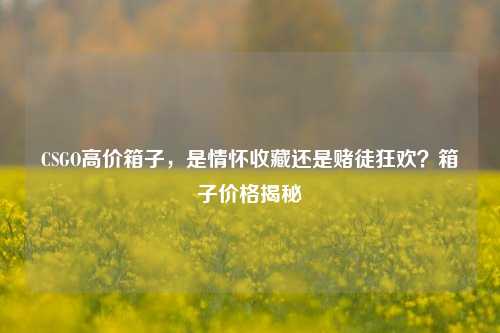 CSGO高价箱子，是情怀收藏还是赌徒狂欢？箱子价格揭秘