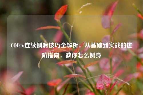 COD16连续侧滑技巧全解析，从基础到实战的进阶指南，教你怎么侧身