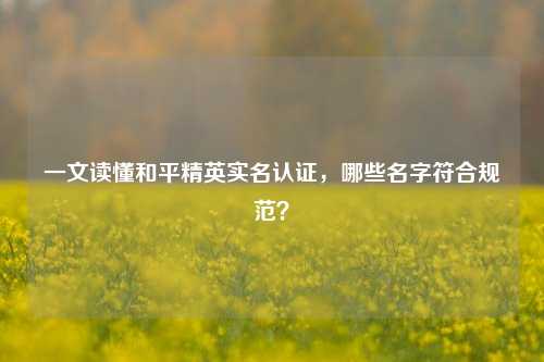 一文读懂和平精英实名认证，哪些名字符合规范？
