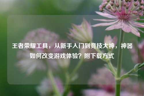 王者荣耀工具，从新手入门到竞技大神，神器如何改变游戏体验？附下载方式