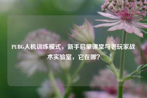 PUBG人机训练模式，新手启蒙课堂与老玩家战术实验室，它在哪？