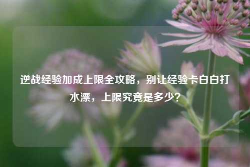 逆战经验加成上限全攻略，别让经验卡白白打水漂，上限究竟是多少？