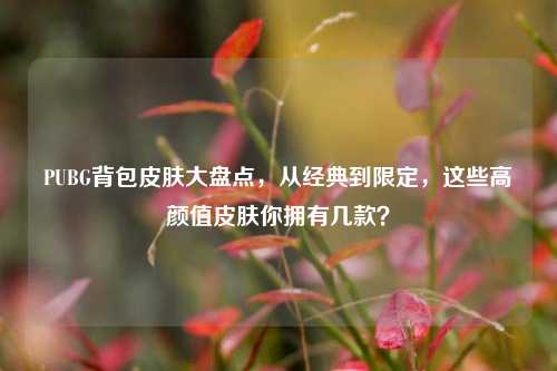 PUBG背包皮肤大盘点，从经典到限定，这些高颜值皮肤你拥有几款？
