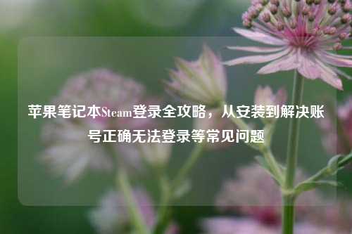 苹果笔记本Steam登录全攻略，从安装到解决账号正确无法登录等常见问题
