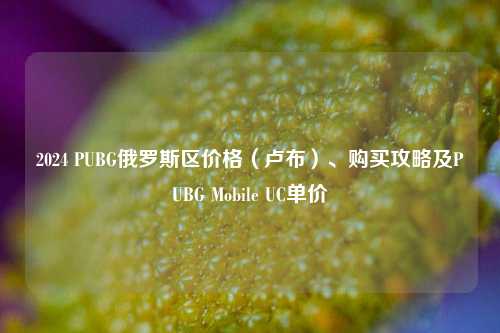 2024 PUBG俄罗斯区价格(卢布)、购买攻略及PUBG Mobile UC单价