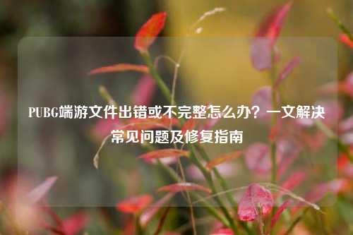 PUBG端游文件出错或不完整怎么办？一文解决常见问题及修复指南