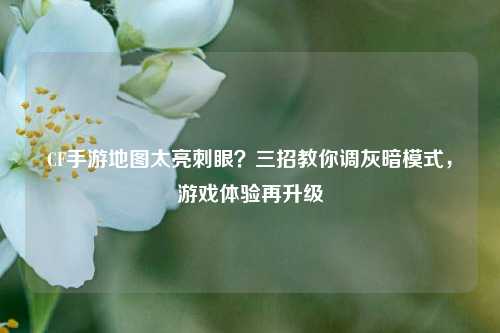 CF手游地图太亮刺眼？三招教你调灰暗模式，游戏体验再升级