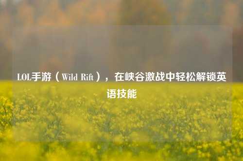 LOL手游（Wild Rift），在峡谷激战中轻松解锁英语技能