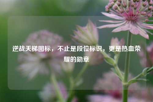 逆战天梯图标，不止是段位标识，更是热血荣耀的勋章