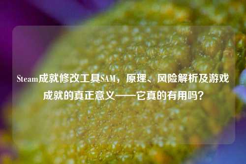 Steam成就修改工具SAM，原理、风险解析及游戏成就的真正意义——它真的有用吗？