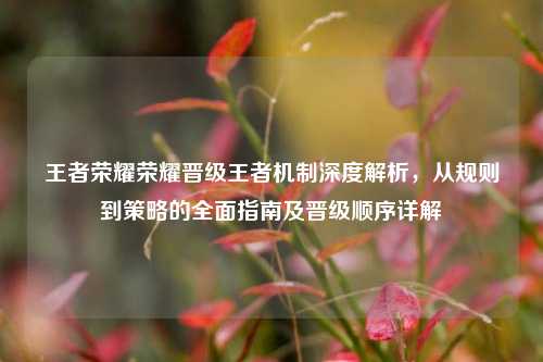王者荣耀荣耀晋级王者机制深度解析，从规则到策略的全面指南及晋级顺序详解