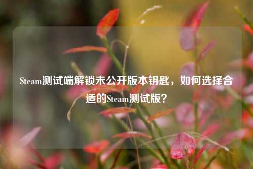 Steam测试端解锁未公开版本钥匙，如何选择合适的Steam测试版？