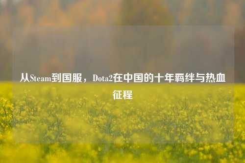 从Steam到国服，Dota2在中国的十年羁绊与热血征程