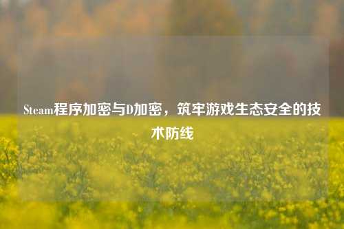 Steam程序加密与D加密，筑牢游戏生态安全的技术防线