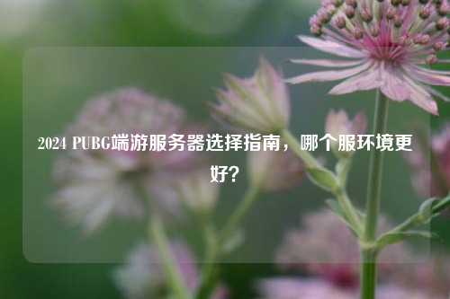 2024 PUBG端游服务器选择指南，哪个服环境更好？