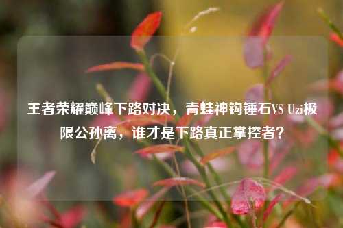 王者荣耀巅峰下路对决，青蛙神钩锤石VS Uzi极限公孙离，谁才是下路真正掌控者？