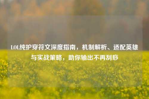LOL纯护穿符文深度指南，机制解析、适配英雄与实战策略，助你输出不再刮痧