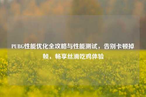 PUBG性能优化全攻略与性能测试,告别卡顿掉帧,畅享丝滑吃鸡体验