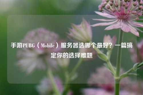 手游PUBG（Mobile）服务器选哪个最好？一篇搞定你的选择难题