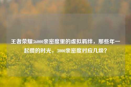 王者荣耀36000亲密度里的虚拟羁绊，那些年一起攒的时光，3000亲密度对应几级？