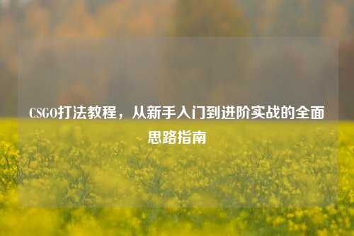 CSGO打法教程，从新手入门到进阶实战的全面思路指南