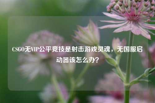 CSGO无VIP公平竞技是射击游戏灵魂,无国服启动器该怎么办?
