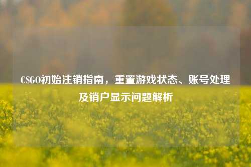 CSGO初始注销指南，重置游戏状态、账号处理及销户显示问题解析