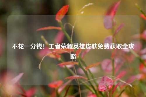 不花一分钱！王者荣耀英雄皮肤免费获取全攻略