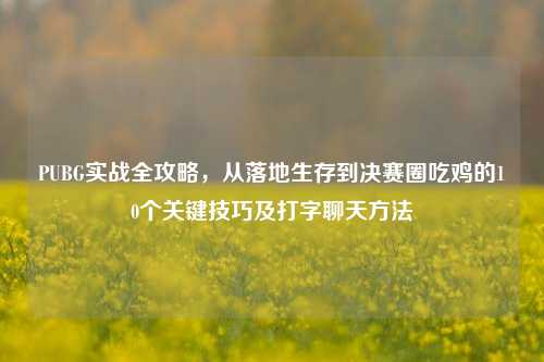PUBG实战全攻略，从落地生存到决赛圈吃鸡的10个关键技巧及打字聊天方法