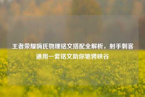 王者荣耀嗨氏物理铭文搭配全解析，射手刺客通用一套铭文助你驰骋峡谷