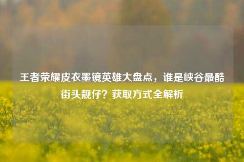 王者荣耀皮衣墨镜英雄大盘点，谁是峡谷最酷街头靓仔？获取方式全解析