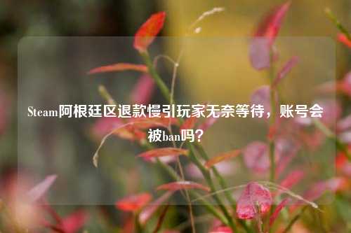 Steam阿根廷区退款慢引玩家无奈等待，账号会被ban吗？