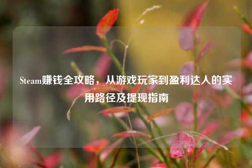 Steam赚钱全攻略，从游戏玩家到盈利达人的实用路径及提现指南