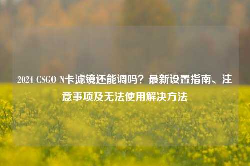 2024 CSGO N卡滤镜还能调吗？最新设置指南、注意事项及无法使用解决方法