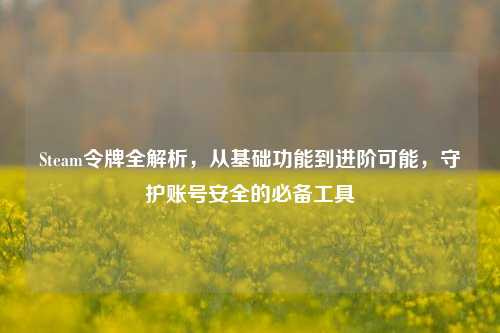 Steam令牌全解析，从基础功能到进阶可能，守护账号安全的必备工具