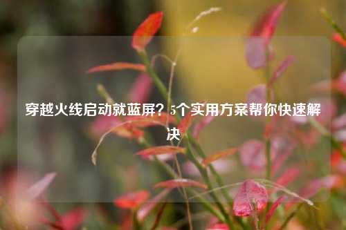 穿越火线启动就蓝屏？5个实用方案帮你快速解决