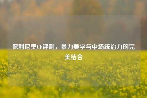 保利尼奥CF评测，暴力美学与中场统治力的完美结合